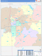 Kalamazoo County, MI Digital Map Color Cast Style