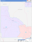 Lafayette County, FL Digital Map Color Cast Style