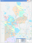 Lake County, FL Digital Map Color Cast Style