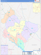 Laurens County, SC Digital Map Color Cast Style