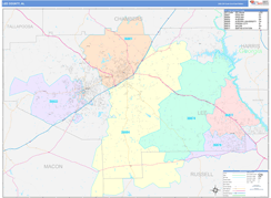 Lee County, AL Digital Map Color Cast Style