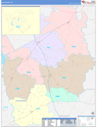 Leon County, TX Digital Map Color Cast Style