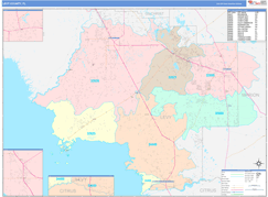 Levy County, FL Digital Map Color Cast Style