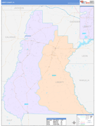 Liberty County, FL Digital Map Color Cast Style