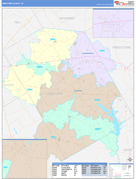 Limestone County, TX Digital Map Color Cast Style