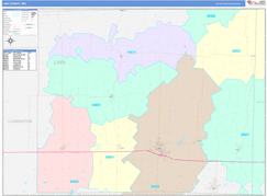 Linn County, MO Digital Map Color Cast Style