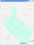 Long County, GA Digital Map Color Cast Style