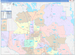 Marion County, FL Digital Map Color Cast Style