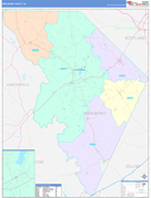 Marlboro County, SC Digital Map Color Cast Style