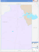 McMullen County, TX Digital Map Color Cast Style