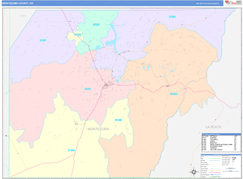 Montezuma County, CO Digital Map Color Cast Style
