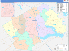 Navarro County, TX Digital Map Color Cast Style