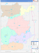 Newaygo County, MI Digital Map Color Cast Style