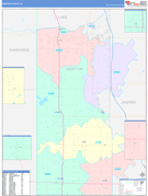 Newton County, IN Digital Map Color Cast Style
