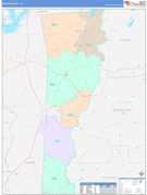 Newton County, TX Digital Map Color Cast Style