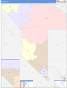 Nye County, NV Digital Map Color Cast Style