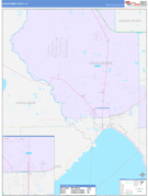 Okeechobee County, FL Digital Map Color Cast Style