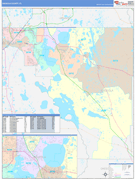 Osceola County, FL Digital Map Color Cast Style