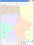 Osceola County, MI Digital Map Color Cast Style