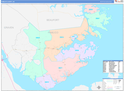 Pamlico County, NC Digital Map Color Cast Style