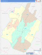 Pendleton County, WV Digital Map Color Cast Style