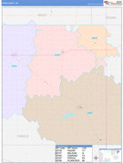 Pierce County, NE Digital Map Color Cast Style