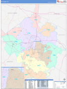 Pitt County, NC Digital Map Color Cast Style