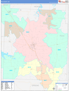 Polk County, MO Digital Map Color Cast Style