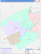 Pulaski County, VA Digital Map Color Cast Style