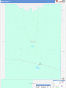 Reagan County, TX Digital Map Color Cast Style