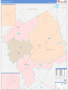 Robertson County, TX Digital Map Color Cast Style