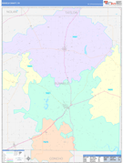 Runnels County, TX Digital Map Color Cast Style