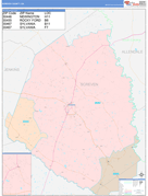 Screven County, GA Digital Map Color Cast Style