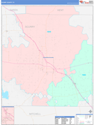 Scurry County, TX Digital Map Color Cast Style