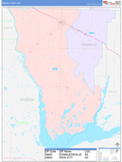 Seminole County, GA Digital Map Color Cast Style