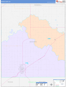 Seward County, KS Digital Map Color Cast Style