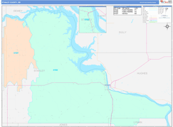 Stanley County, SD Digital Map Color Cast Style