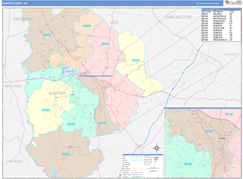 Sumter County, SC Digital Map Color Cast Style