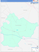 Taliaferro County, GA Digital Map Color Cast Style