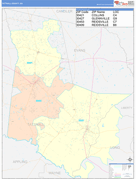 Tattnall County, GA Digital Map Color Cast Style