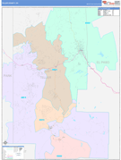 Teller County, CO Digital Map Color Cast Style