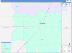 Terry County, TX Digital Map Color Cast Style