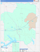 Titus County, TX Digital Map Color Cast Style