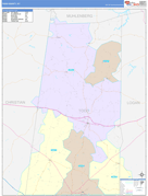 Todd County, KY Digital Map Color Cast Style