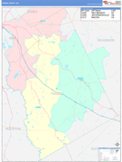 Twiggs County, GA Digital Map Color Cast Style