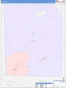 Upton County, TX Digital Map Color Cast Style