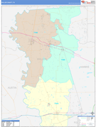 Waller County, TX Digital Map Color Cast Style