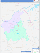 Warren County, GA Digital Map Color Cast Style