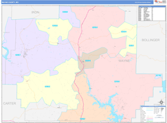 Wayne County, MO Digital Map Color Cast Style