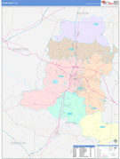 Wayne County, NC Digital Map Color Cast Style